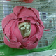 Illustration for article titled Chinese Store Displays Are the Best